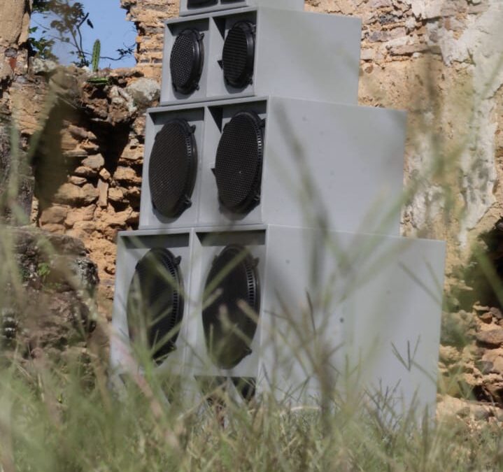Lion’s Corporations Sound System